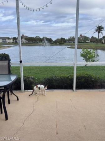 Province Park, 4317 Avian Ave, Fort Myers, Florida 33916, image 2