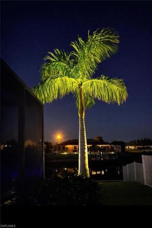 Cape Coral Residential, 1344 13th Pl, Cape Coral, Florida 33993, image 2