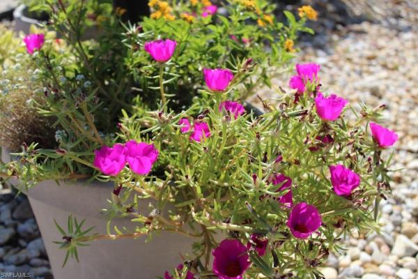 6324 Sugar Bush Ln #C, Fort Myers, Florida 33908, image 1