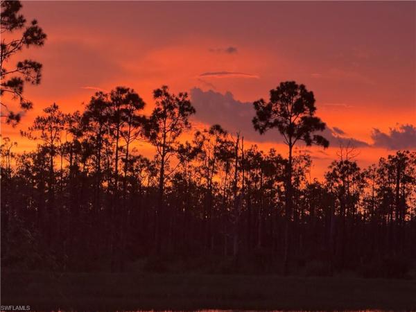 Magnolia Landing, 20364 Camino Torcido Loop, North Fort Myers, Florida 33917, image 2