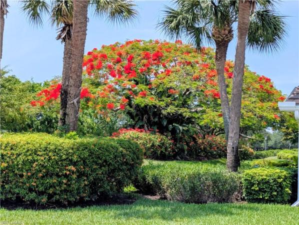 Somerville, 2616 Somerville Loop #2101, Cape Coral, Florida 33991, image 1