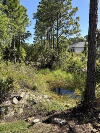 Lehigh Acres, 1011 E Kent St, Lehigh Acres, Florida 33974, image 1