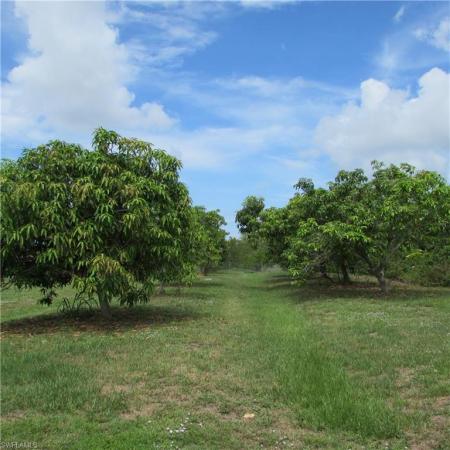 Pine Island, 7697 Beach Daisy Ln, Bokeelia, Florida 33922, image 2