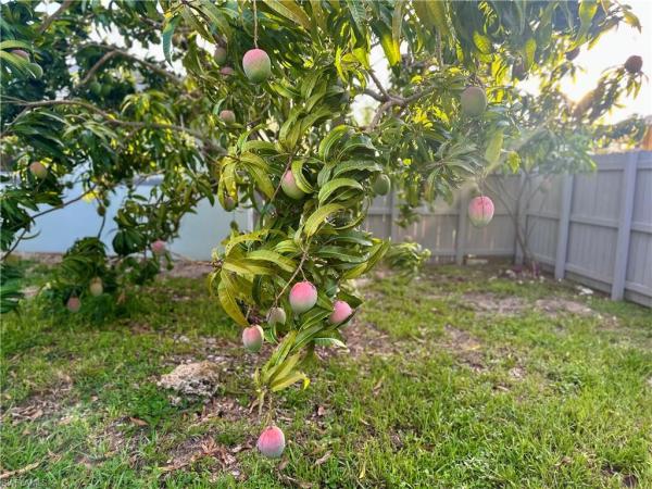 Coronado Moors, 1495 Cranville Sq, Fort Myers, Florida 33919, image 3