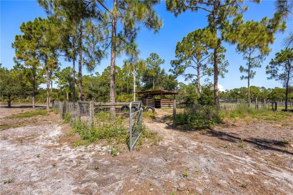 Buckingham Park, 6060 Terrace Rd, Fort Myers, Florida 33905, image 3