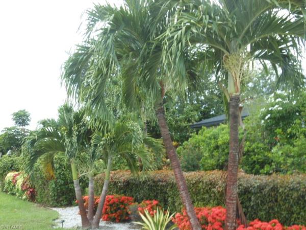 Cape Coral, 1236 Everest Pkwy, Cape Coral, Florida 33904, image 3