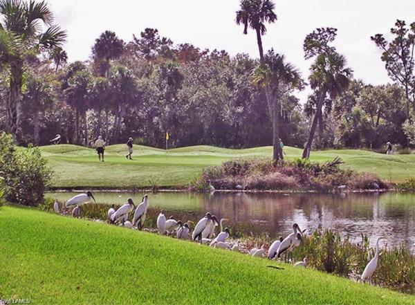 Otter Bend, 3980 Otter Bend Cir, Fort Myers, Florida 33905, image 3