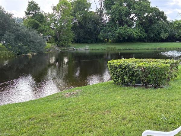 Wyldewood Lakes, 5858 Wild Fig Ln, Fort Myers, Florida 33919, image 3