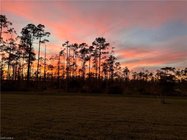 Magnolia Landing, 20324 Camino Torcido Loop, North Fort Myers, Florida 33917, image 2