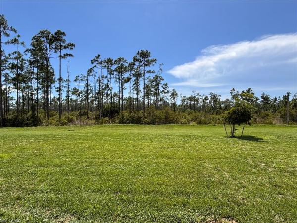 Magnolia Landing, 20324 Camino Torcido Loop, North Fort Myers, Florida 33917, image 1
