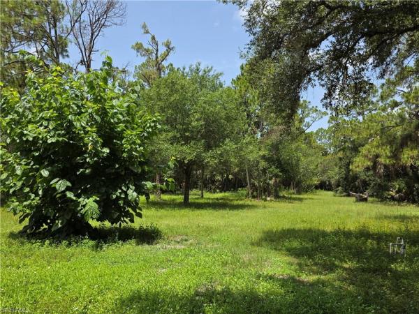 Riverdale Ranches, 4756 Skates Cir, Fort Myers, Florida 33905, image 3