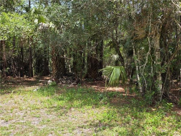Riverdale Ranches, 4756 Skates Cir, Fort Myers, Florida 33905, image 1