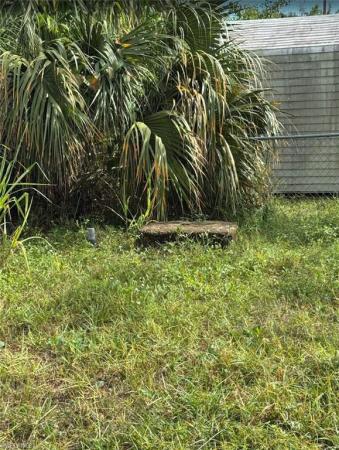 107 William St, Fort Myers, Florida 33916, image 1