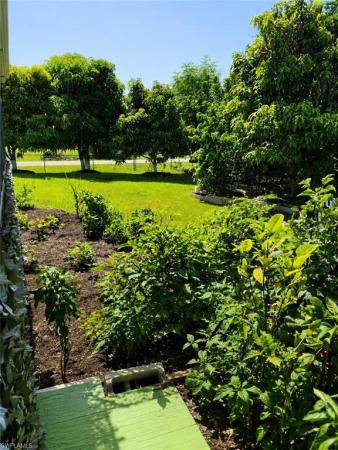 3201 W 6th St, Lehigh Acres, Florida 33971, image 1