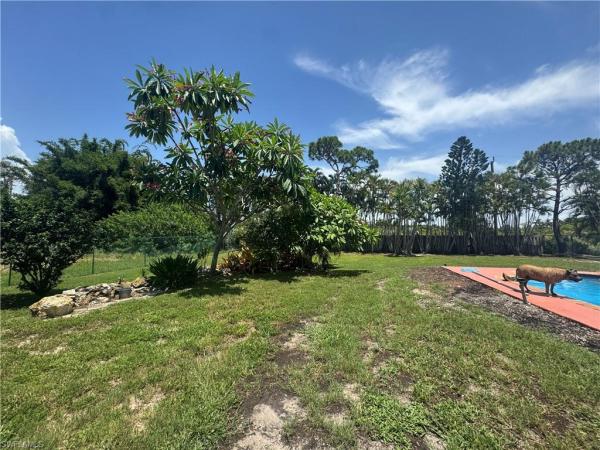 Pine Island, 15474 Pembrooke Rd, Bokeelia, Florida 33922, image 1