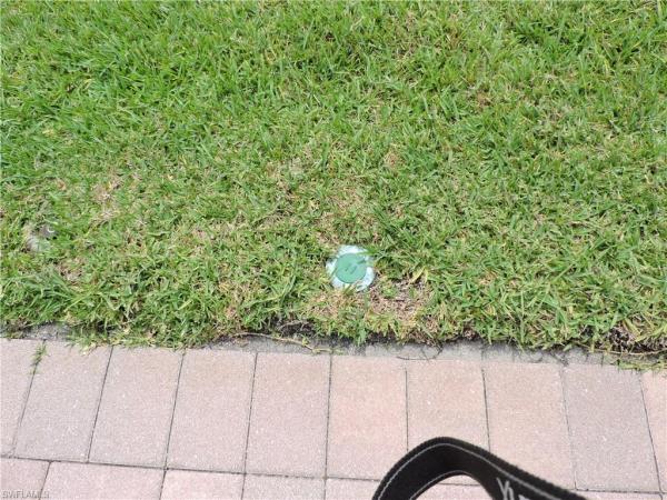 Cape Coral Residential, 204 11th St, Cape Coral, Florida 33993, image 2