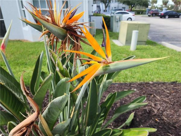 8416 Bernwood Cove Loop #1612, Fort Myers, Florida 33966, image 1