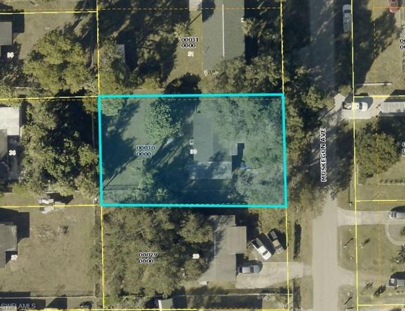 346 Muskegon Ave, Fort Myers, Florida 33905, image 1