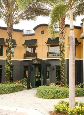 Paseo, 11070 Esteban Dr, Fort Myers, Florida 33912, image 3