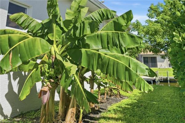Cape Coral Residential, 1909 29th Ter, Cape Coral, Florida 33914, image 1