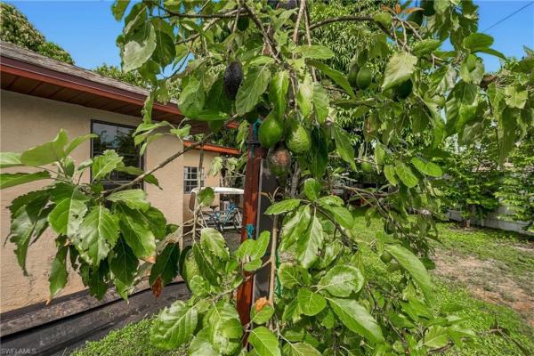 Cape Coral Residential, 2225 2nd St, Cape Coral, Florida 33990, image 1