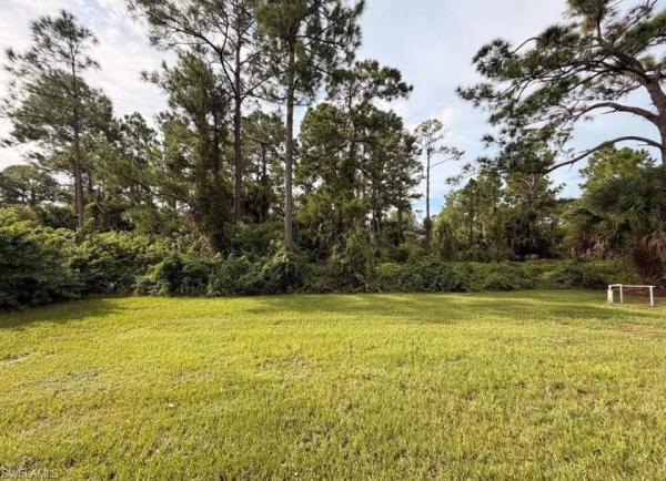 Lehigh Acres, 1252 E County St, Lehigh Acres, Florida 33974, image 1