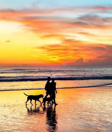 Estero Beach & Tennis Club, 7300 Estero Blvd #607, Fort Myers Beach, Florida 33931, image 1