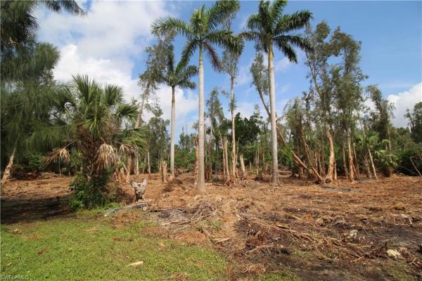 Estero Springs, 0 Access Undetermined, ESTERO FL 33928, Estero, Florida 33928, image 1