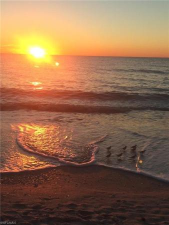 Brook Pines, 5697 Rattlesnake Hammock Rd #108C, Naples, Florida 34113, image 1