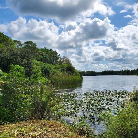 Alva Residential, 17800 Taylor Rd, Alva, Florida 33920, image 1