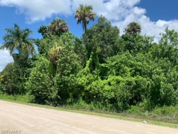 Immokalee No HOA, 512 Stokes Ave, Immokalee, Florida 34142, image 2