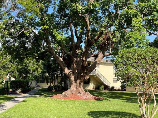 Poinciana, 3325 N Airport Pulling Rd #F3, Naples, Florida 34105, image 1