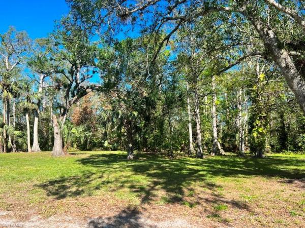 North Fort Myers No HOA, 8251 Aviary St, North Fort Myers, Florida 33917, image 3
