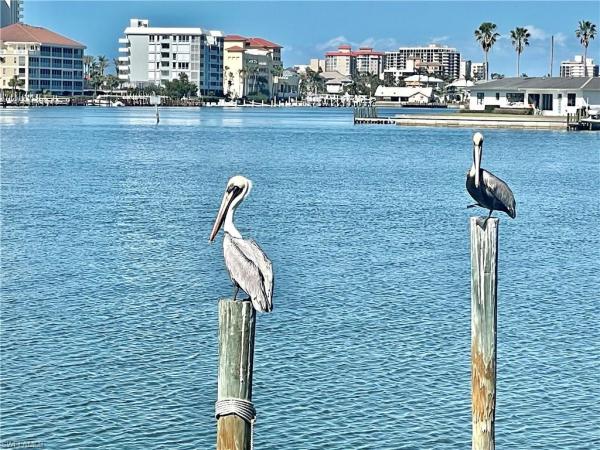 Barefoot Pelican At Vanderbilt Beach, 271 Southbay Dr #242, Naples, Florida 34108, image 1