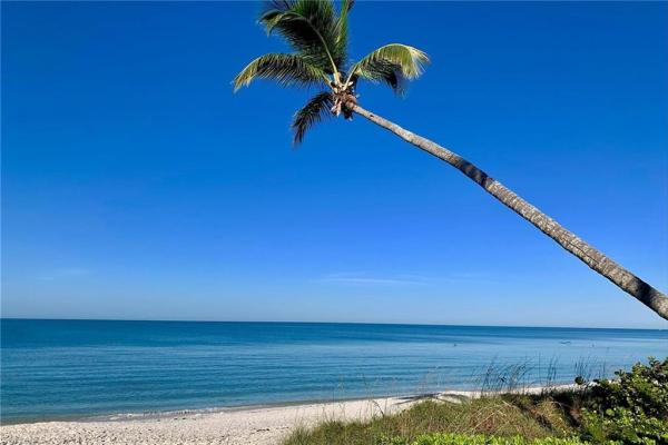 Gulf View Beach Club, 2171 N Gulf Shore Blvd #802, Naples, Florida 34102, image 1