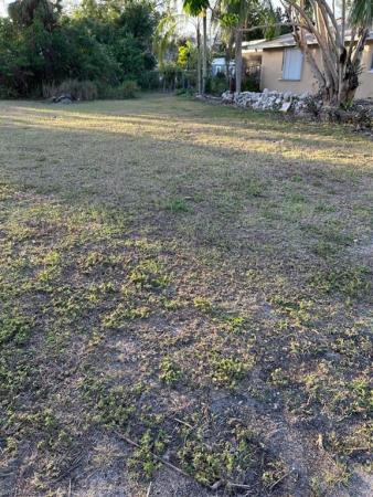 Bonita Farms, 27120 Williams Rd, Bonita Springs, Florida 34135, image 1