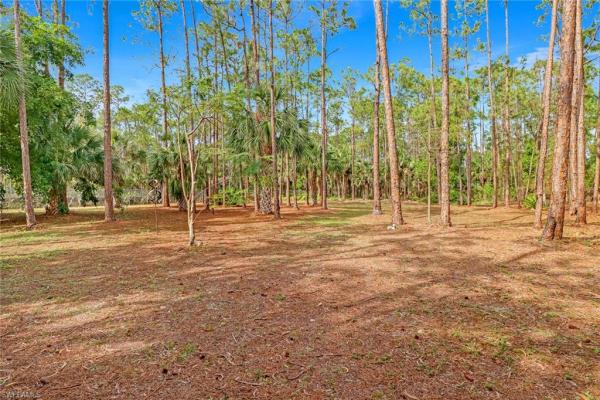 Oakes Estates, 5961 Golden Oaks Ln, Naples, Florida 34119, image 1