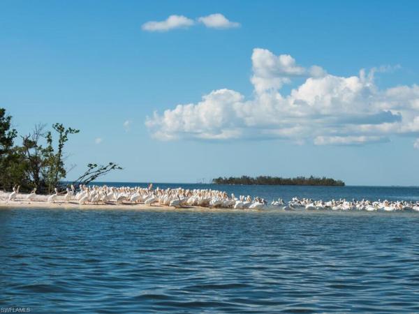 Sunset Cay Villas At Port Of The Islands, 242 Newport Dr #505, Naples, Florida 34114, image 1