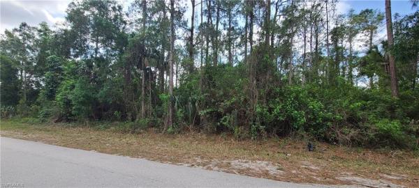 Golden Gate Estates, 15th AVE SW, NAPLES FL 34117, Naples, Florida 34117, image 1