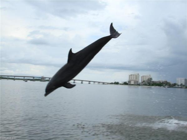 Turnberry At Pelican Sound, 4670 Turnberry Lake Dr #106, Estero, Florida 33928, image 1