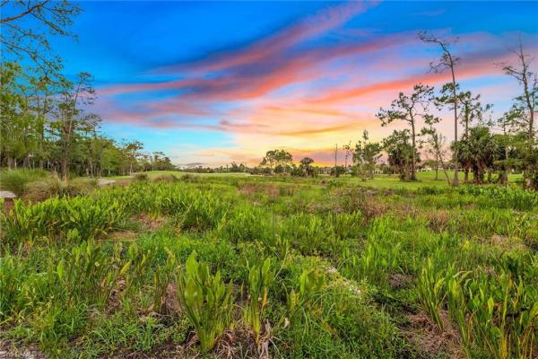 Mahogany Bend At Fiddler's Creek, 3828 Mahogany Bend Dr, Naples, Florida 34114, image 1