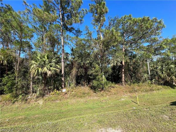 Logan Woods, PINE RIDGE RD, NAPLES FL 34119, Naples, Florida 34119, image 1
