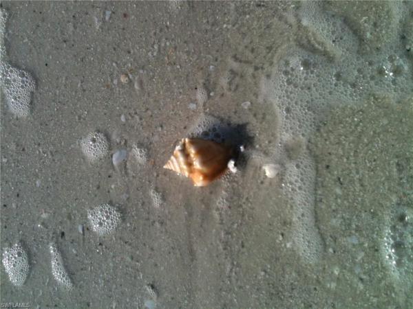 Estero Beach & Tennis Club, 7300 Estero Blvd #402, Fort Myers Beach, Florida 33931, image 1