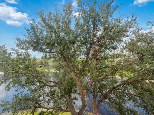 Arbor Trace, 900 Arbor Lake Dr #9-402, Naples, Florida 34110, image 1