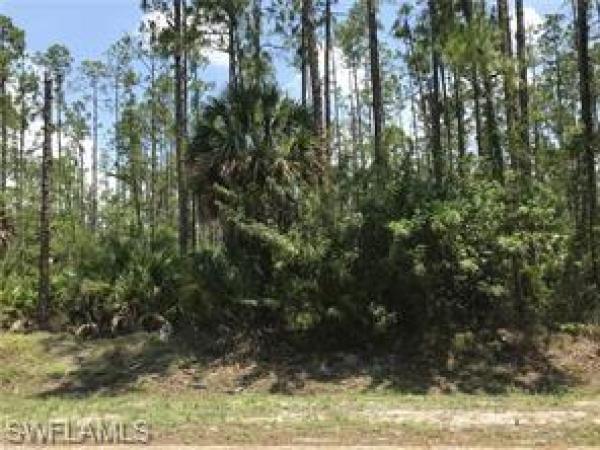 Golden Gate Estates, Star Grass LN, NAPLES FL 34116, Naples, Florida 34116, image 1