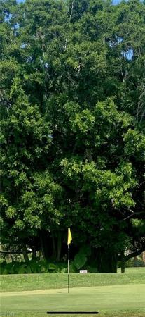 The Greens At Fountain Lakes, 3130 Seasons Way #410, Estero, Florida 33928, image 2