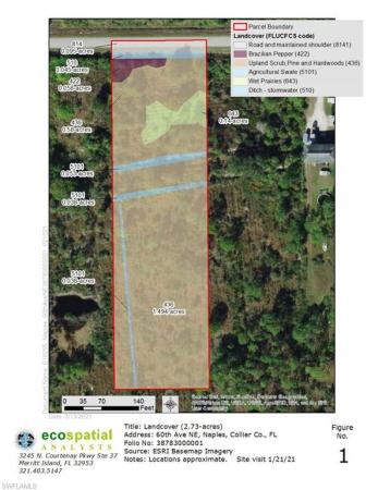 Golden Gate Estates, XXXX NE 60th Ave, Naples, Florida 34120, image 1