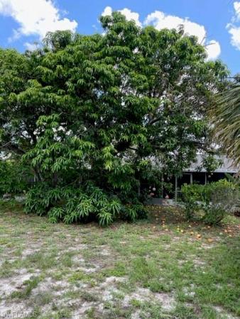 Bonita Springs No HOA, 10916 Childers St, Bonita Springs, Florida 34135, image 1