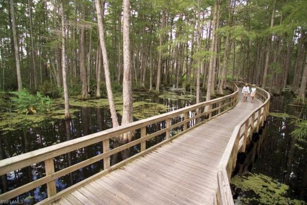 Siena, 10520 Amiata Way #203, Fort Myers, Florida 33913, image 1