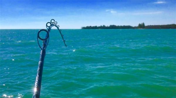 Isles Of Capri, Pelican W, NAPLES FL 34113, Naples, Florida 34113, image 1